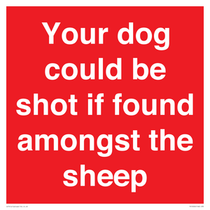 Your dog could be shot if found amongst the sheep